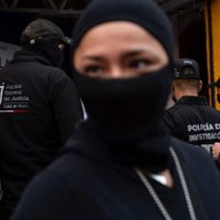 La Polar, de birriería de calidad... a centro del crimen organizado