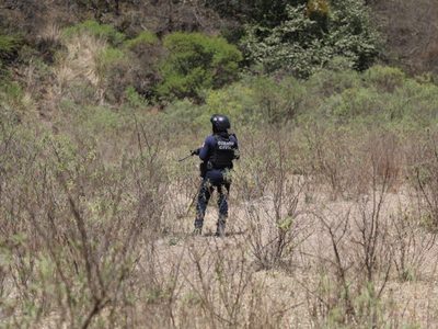 Hallan siete cuerpos en un campamento del crimen organizado en Michoacán