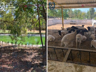 Un lago, criaderos, caballos... Así es el rancho de 23 mdp ligado a prófugo extitular de la Seduvi