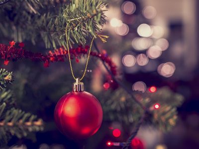 Navidad ecológica: comida y decoración amigable con el medioambiente