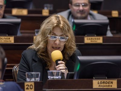 La vicepresidenta de la UCR aseguró que Macri no es el líder de la oposición