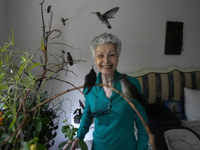 Mexicana convierte su casa en un hospital para colibríes