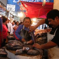 Semana Santa: recomendaciones para evitar enfermarse por comer productos del mar