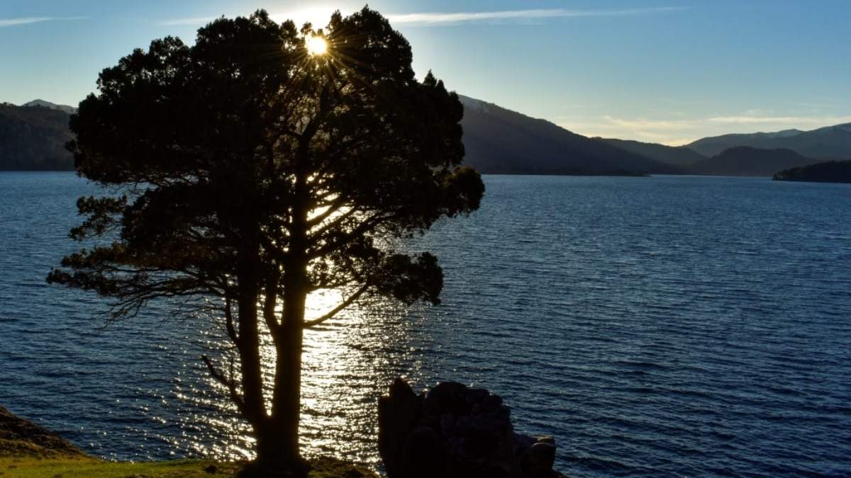 Ñorquinco. Fuente: (Villa Pehuenia Moquehue)