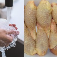 ¿Se debe lavar el pollo antes de cocinarlo? Esto responde la UNAM