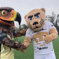 Así se jugará la liguilla: estas son las fechas y horarios de los cuartos de final