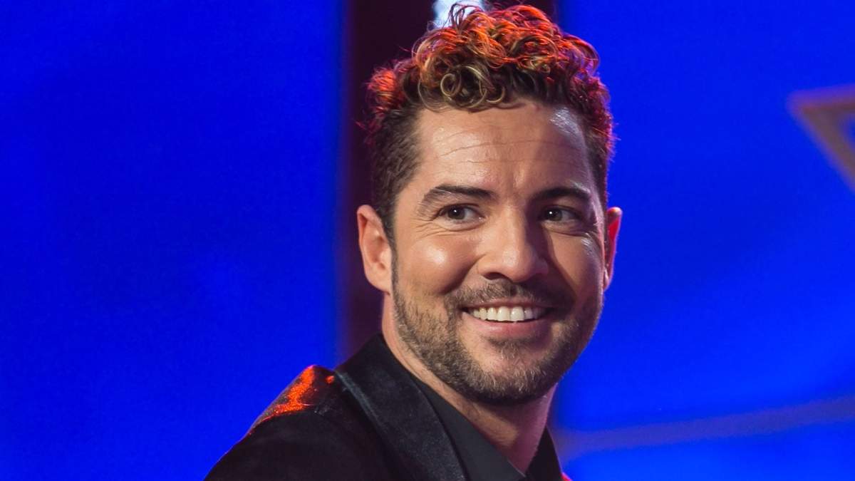 David Bisbal. Fuente: (Instagram).