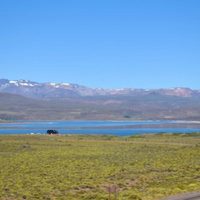 Una proyecto que reducirá la cantidad de percas en Laguna Blanca y, de yapa, servirá de alimento
