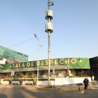 Dos jóvenes asesinados afuera del antro Sala del Despecho eran egresados de IBERO y UDLAP