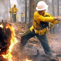 Neuquén enfrenta una compleja situación por numerosos incendios forestales simultáneos