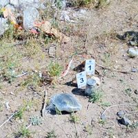 La Policía encontró drogas y un arma tirada en una calle del barrio Colonia Nueva Esperanza