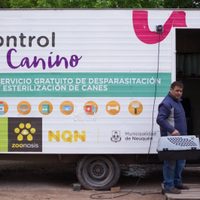 Los quirófanos móviles se trasladan a nuevos barrios para ofrecer castraciones gratuitas para mascotas