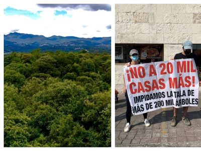 Juez niega a priistas mexiquenses construcción de desarrollo inmobiliario en Jilotzingo