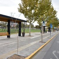 Este martes no habrá colectivos en Neuquén