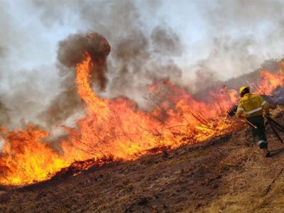 Brigadistas del Parque Nacional Lanín ayudan a combatir un incendio forestal en Jujuy