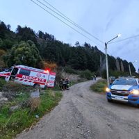 Un vehículo que se dirigía a Villa La Angostura por la ruta 40 impactó contra un caballo