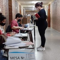 PASO: Neuquén, la segunda provincia con más participación en las urnas