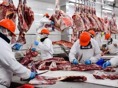 Exportaciones de carne: cómo impacta el acuerdo con EE.UU. en el mercado interno y los precios