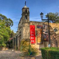 Fideicomiso del Dolores Olmedo responde: podrían reabrir en 2026 pero consideran extender cierre