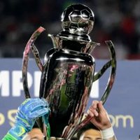Tras la decisión de la AFA: cómo se jugará el torneo del fútbol argentino en 2025