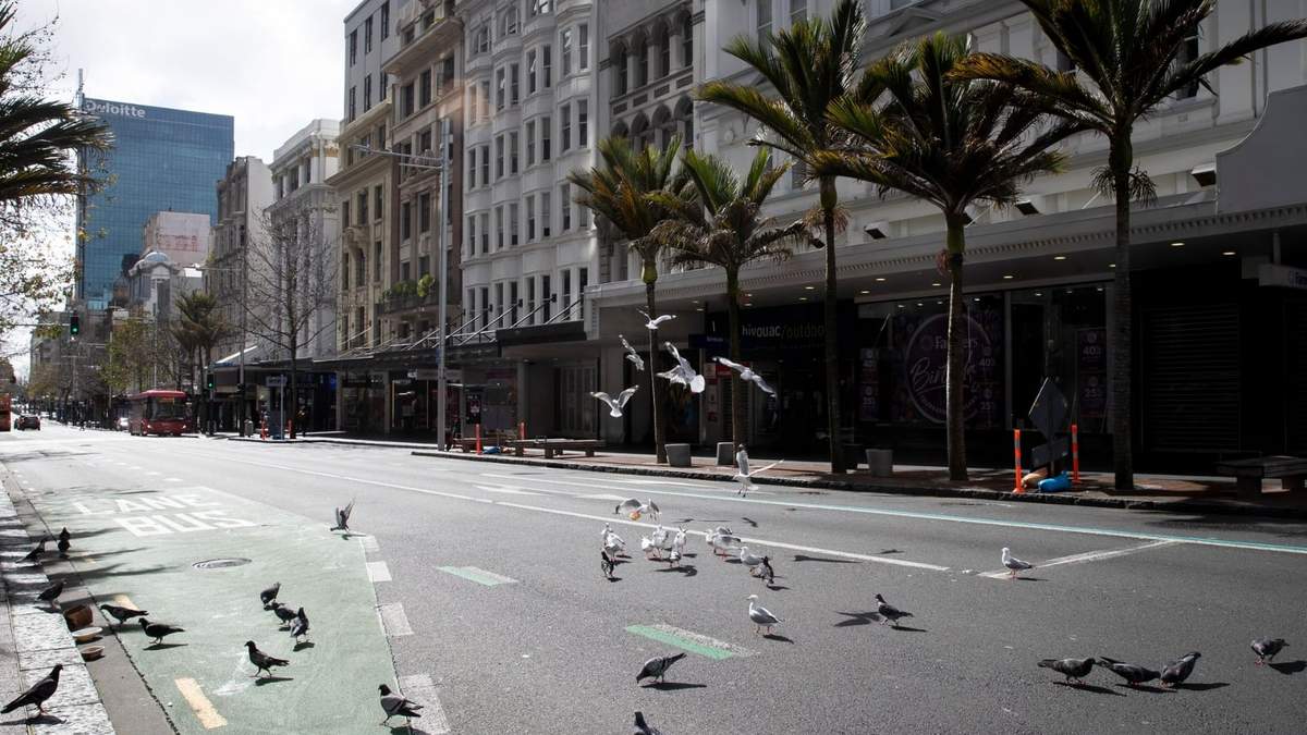 Cuarentena en Auckland, Nueva Zelanda. Fuente: (Twitter)