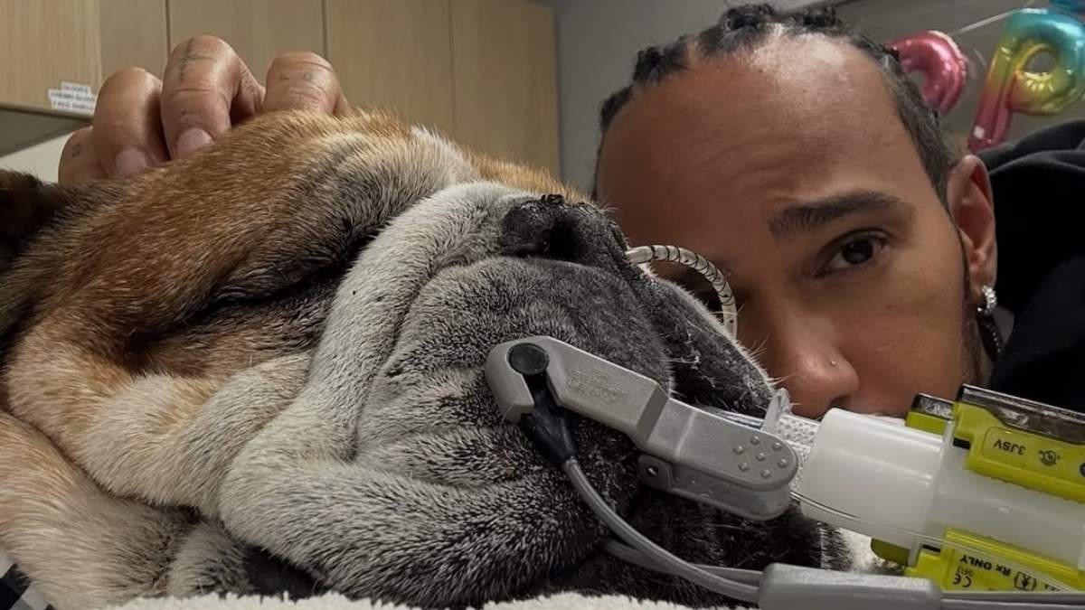 Lewis Hamilton Fuente: (X)