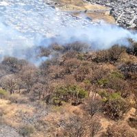 Bomberos que sofocaban un incendio en Zapopan localizan seis cráneos en un barranco