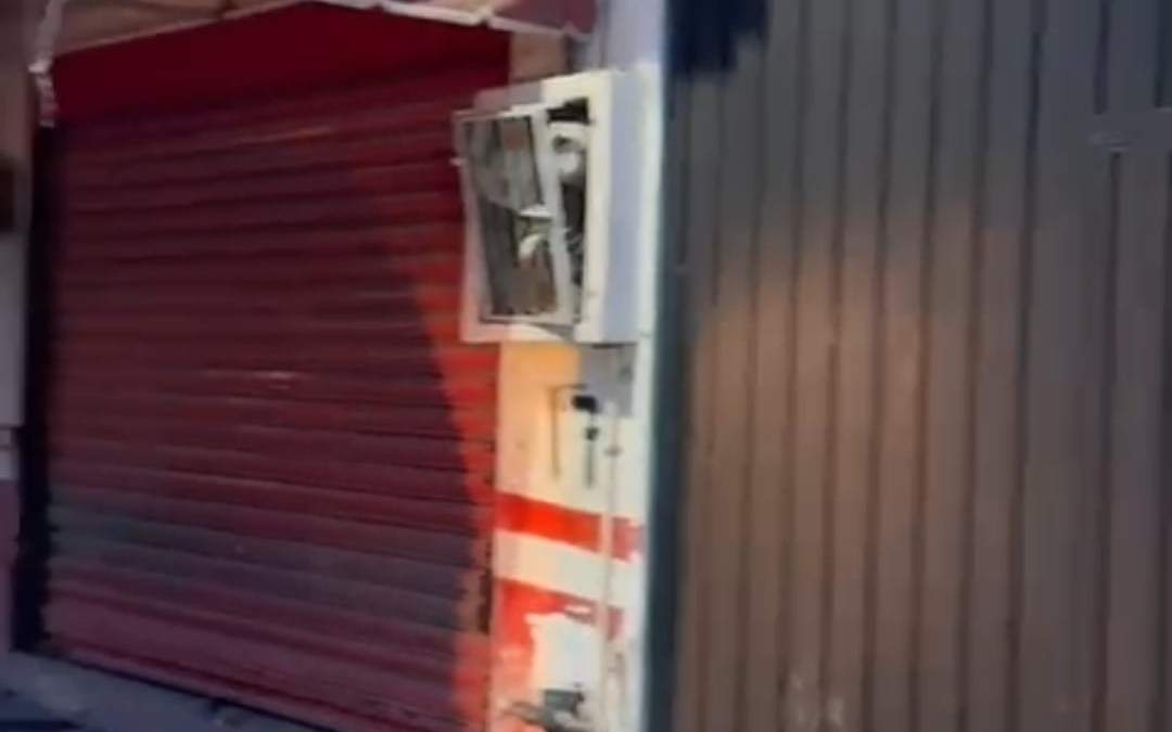 Hombre golpea a un perro en Cuernavaca y provoca su muerte