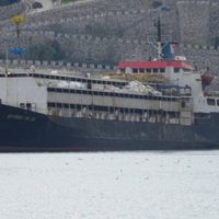 Casi 3.000 vacas uruguayas llevan dos meses en un buque sin poder desembarcar