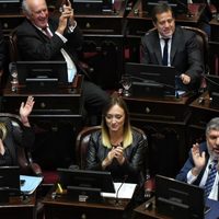 Se cayó ficha limpia: ganó otra vez la política con minúscula