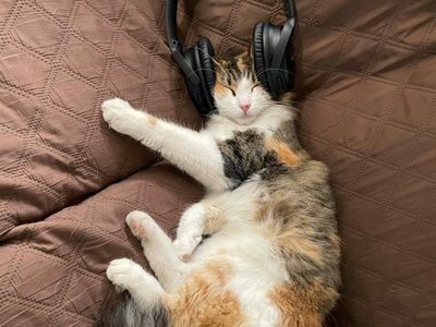 Las cinco canciones que te harán dormir profundamente