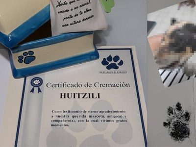 Queman vivo a "Huitzili", un cachorro de tres meses, en León