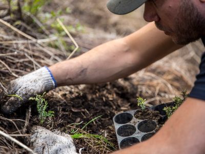 “Plantamos Memoria”: una iniciativa para disminuir los daños en la Patagonia