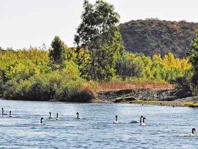 Feriado ventoso y algo nublado: así estará el clima hoy en Neuquén