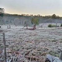 A preparar los abrigos porque se viene una ola polar intensa