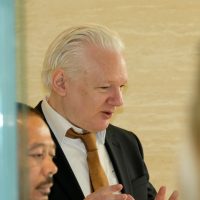 "Soy libre porque me declaré culpable de hacer periodismo": Julian Assange en el Consejo de Europa