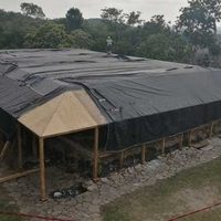 Especialistas de zona arqueológica El Tajín y del INAH opinan que daños por incendio son reversibles