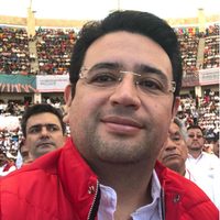 Detienen en NL a senador electo priista de Chiapas, por violencia familiar