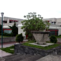 Ciclo Marcello Mastroianni en la Filmoteca