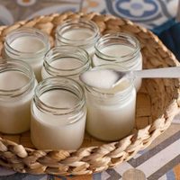 No gastes en el supermercado: así podés preparar el yogurt más delicioso y fresco sin salir de casa
