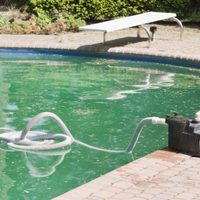 Si el agua de tu pileta se pone verde, descubrí este truco sencillo para tenerla siempre limpia y transparente sin hacer nada