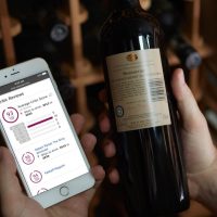 Encuentro virtual sobre la innovación en la industria del vino
