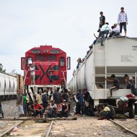Rutas migrantes y estructuras del tráfico