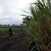 Incremento de la producción y autosuficiencia alimentaria, los enfoques para "rescatar al campo": AMLO
