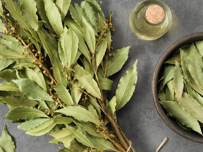 La planta que crece en muchos jardines y que tiene muchos beneficios para tu vida
