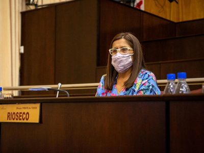 Teresa Rioseco propuso un programa provincial de prevención de intoxicación por monóxido de carbono