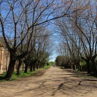 Sin salir de la provincia de Buenos Aires: 3 lugares que podés visitar en una escapada para una aventura turística