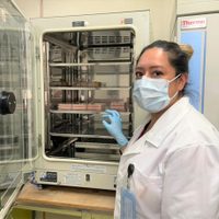 Científica del IPN desarrolla biofármaco para combatir el covid-19