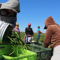 México registró la mayor pérdida de empleos permanentes desde 2015