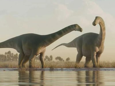 Descubren una nueva especie de dinosaurio saurópodo que vivió hace 93 millones de años